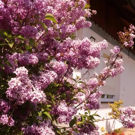 Entire 2nd Floor Of With 3bedroom With Large Garden,bbq,pool,sauna,free Parking