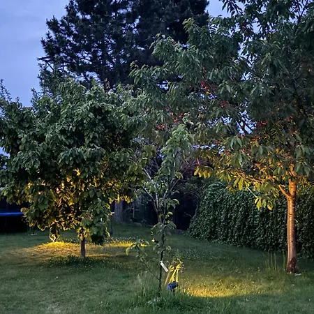 Entire 2nd Floor Of With 3bedroom With Large Garden,bbq,pool,sauna,free Parking Lodge