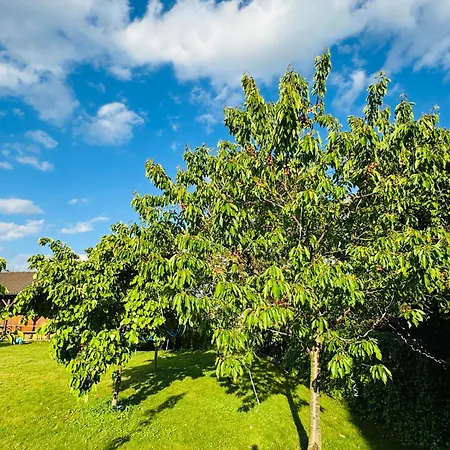 Entire 2nd Floor Of With 3bedroom With Large Garden,bbq,pool,sauna,free Parking * Popovičky