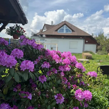 Entire 2nd Floor Of With 3bedroom With Large Garden,bbq,pool,sauna,free Parking * Popovičky