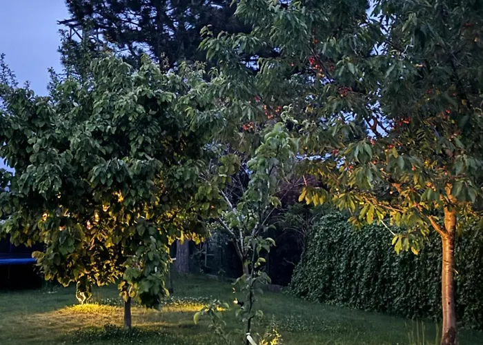 Entire 2nd Floor Of With 3bedroom With Large Garden,bbq,pool,sauna,free Parking Lodge