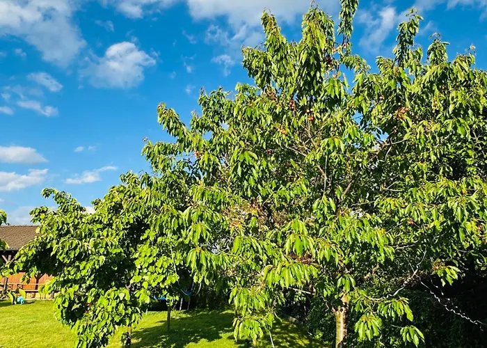 Entire 2nd Floor Of With 3bedroom With Large Garden,bbq,pool,sauna,free Parking * Popovičky